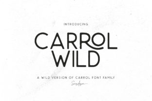 Carrol Wild Font Inspiration